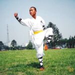 Shaolin Kicker